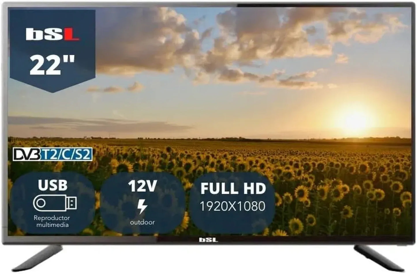 Téléviseur LED 22' Full HD avec HDMI et USB